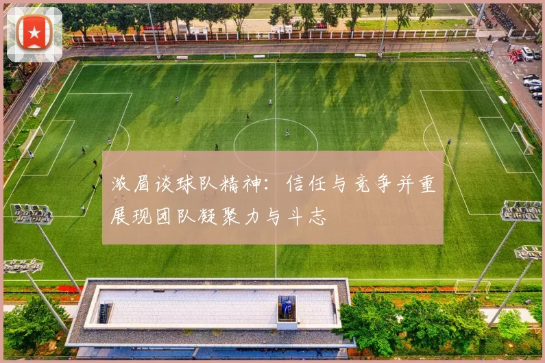 浓眉谈球队精神：信任与竞争并重展现团队凝聚力与斗志