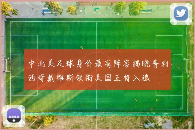 中北美足球身价最高阵容揭晓普利西奇戴维斯领衔美国五将入选