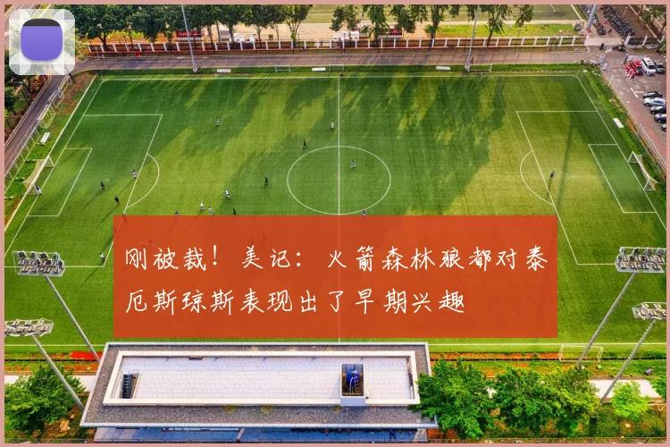 刚被裁！美记：火箭森林狼都对泰厄斯琼斯表现出了早期兴趣